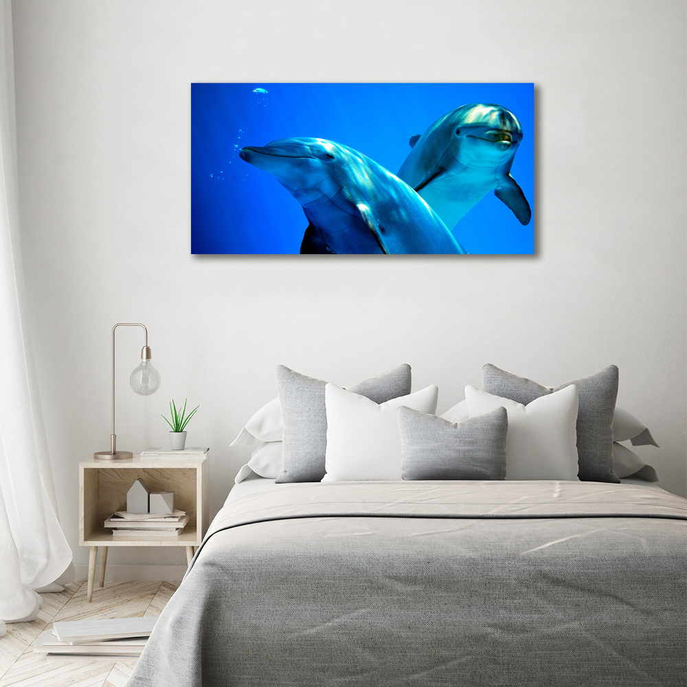 Canvas wall art Two dolphins