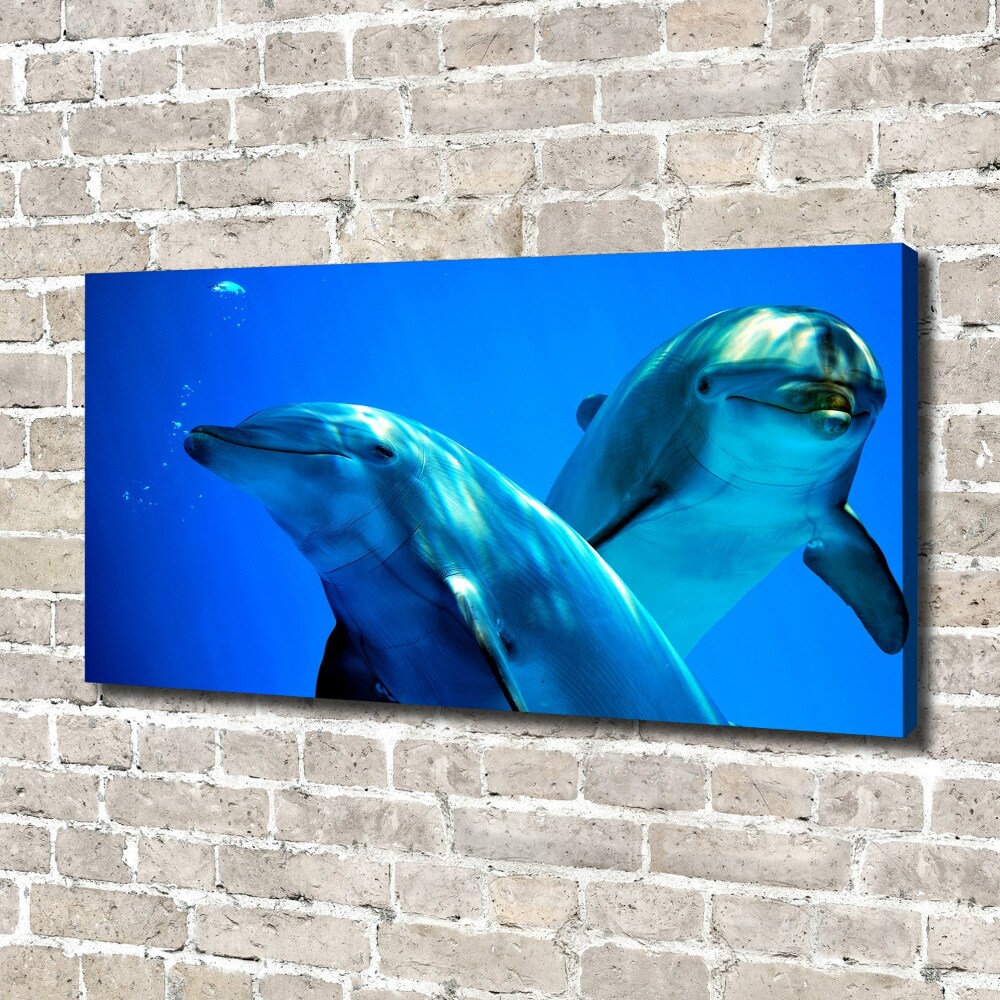 Canvas wall art Two dolphins