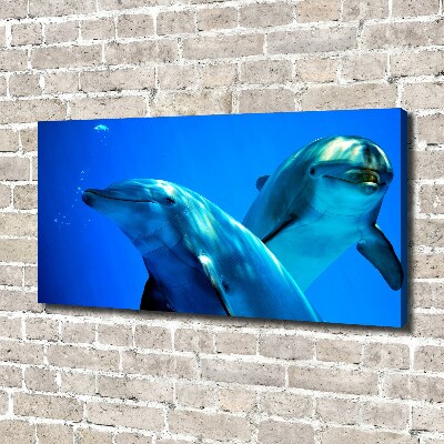 Canvas wall art Two dolphins