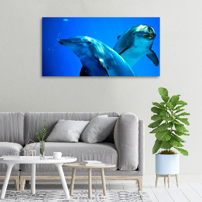 Canvas wall art Two dolphins