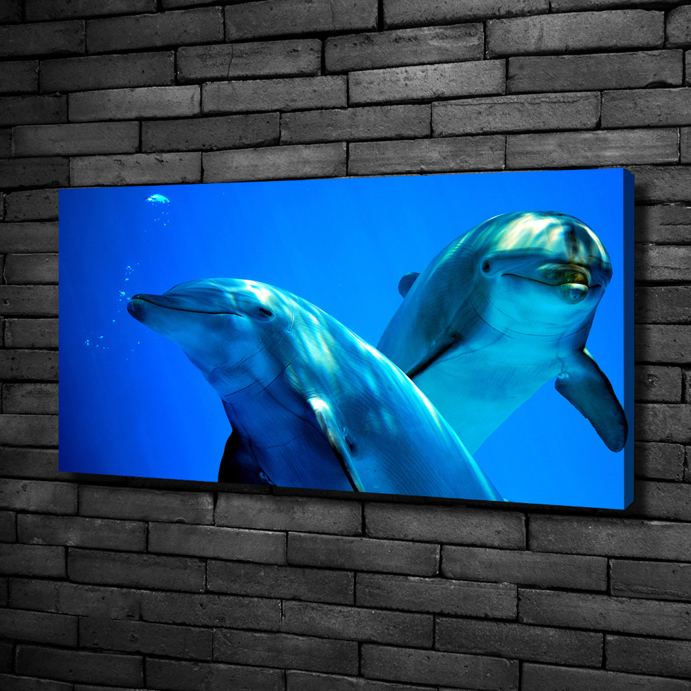 Canvas wall art Two dolphins