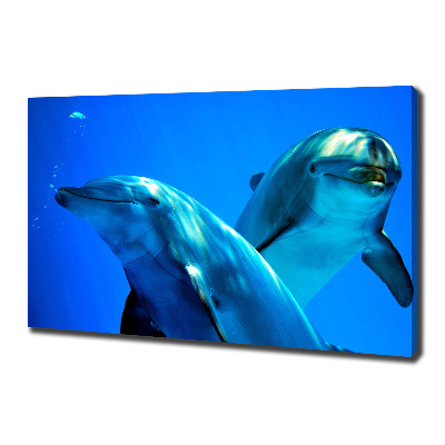 Canvas wall art Two dolphins