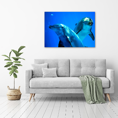 Canvas wall art Two dolphins