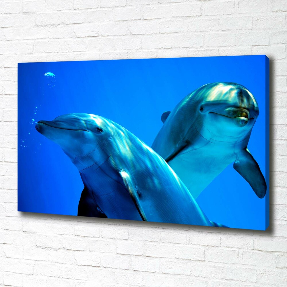 Canvas wall art Two dolphins