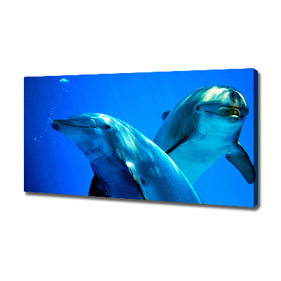 Canvas wall art Two dolphins