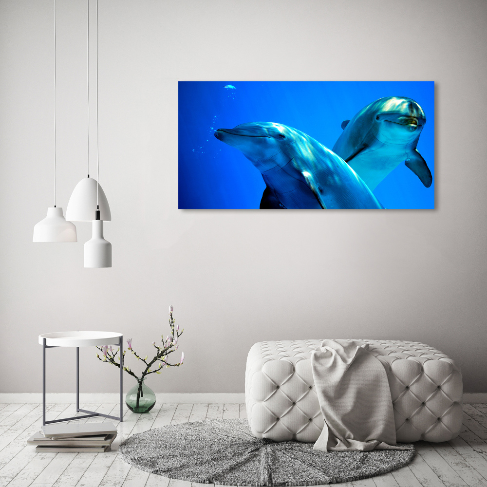 Canvas wall art Two dolphins