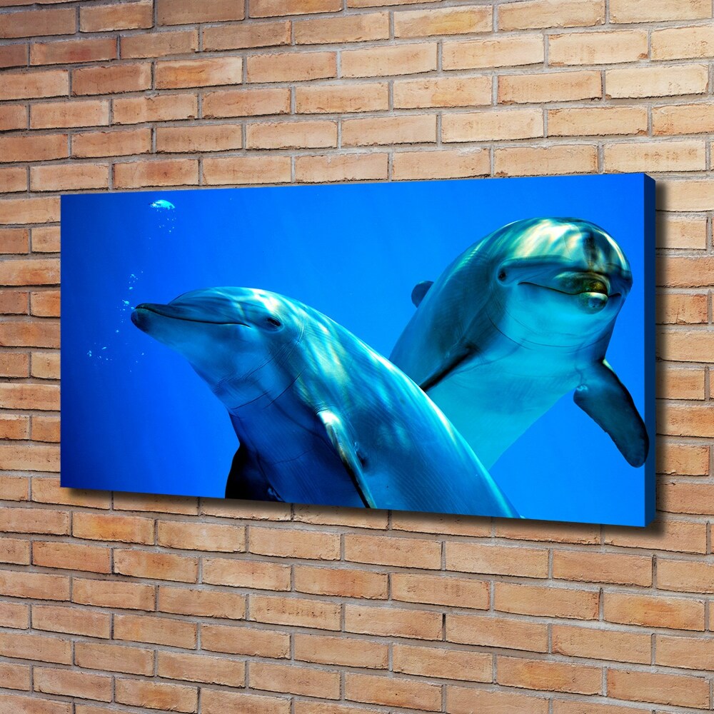 Canvas wall art Two dolphins