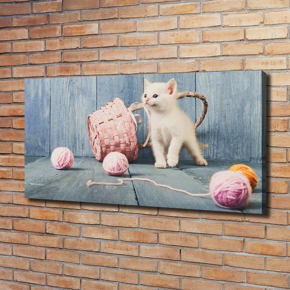 Canvas wall art White cat and skeins