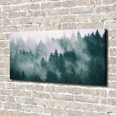 Canvas wall art Fog over the forest