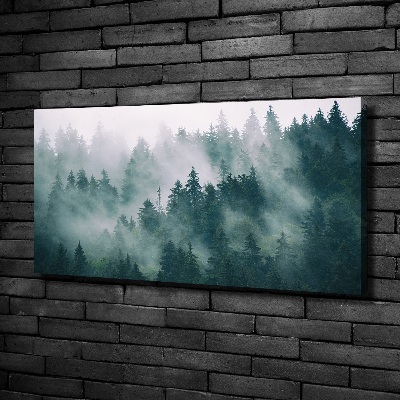 Canvas wall art Fog over the forest