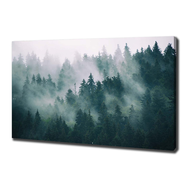 Canvas wall art Fog over the forest