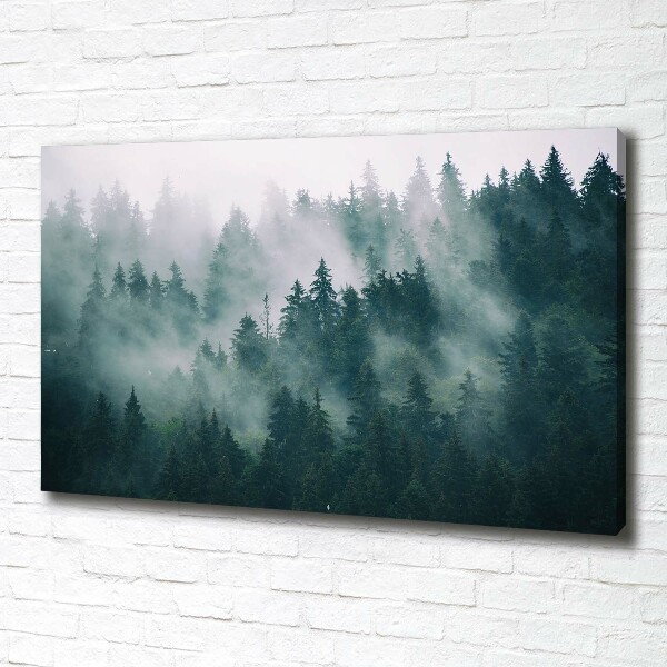 Canvas wall art Fog over the forest