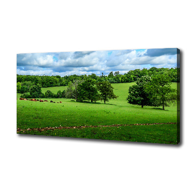 Canvas wall art Green hills