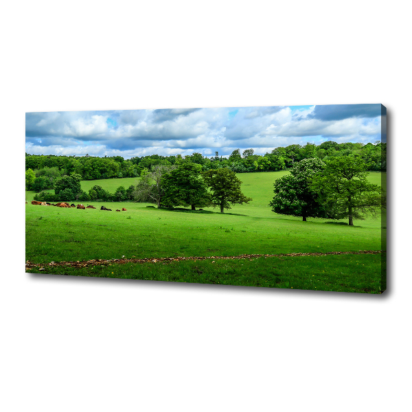 Canvas wall art Green hills