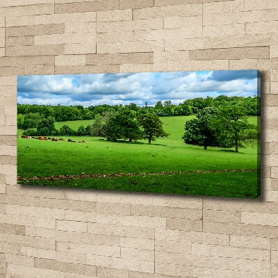 Canvas wall art Green hills