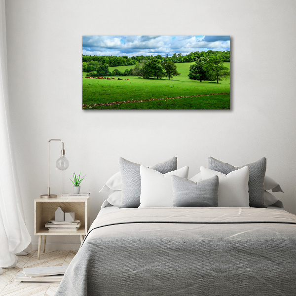 Canvas wall art Green hills