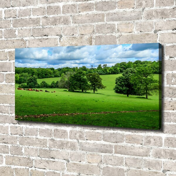 Canvas wall art Green hills