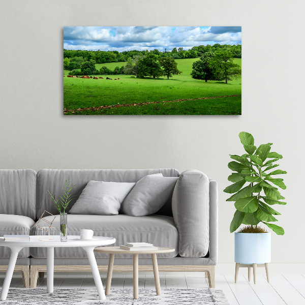 Canvas wall art Green hills