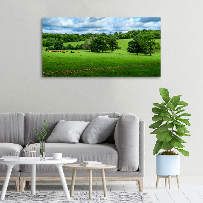 Canvas wall art Green hills