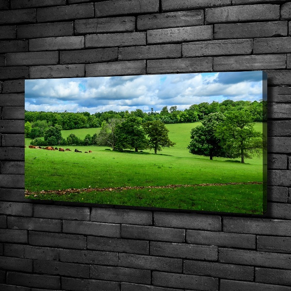 Canvas wall art Green hills