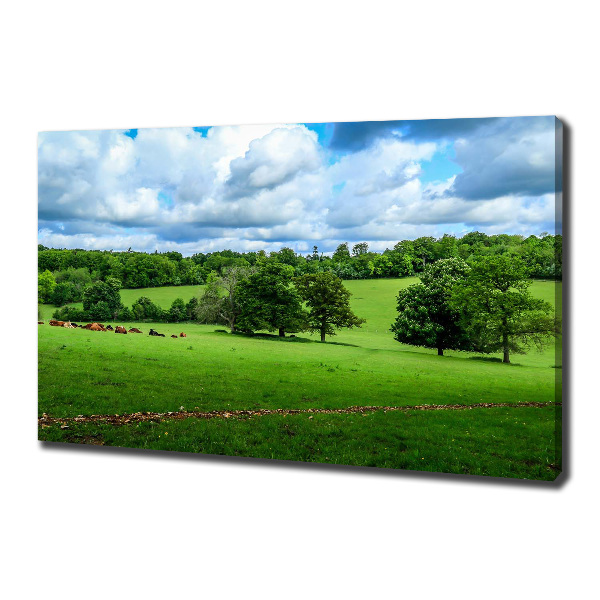 Canvas wall art Green hills