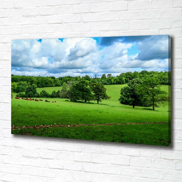 Canvas wall art Green hills