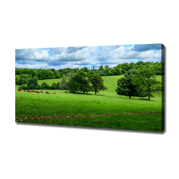 Canvas wall art Green hills