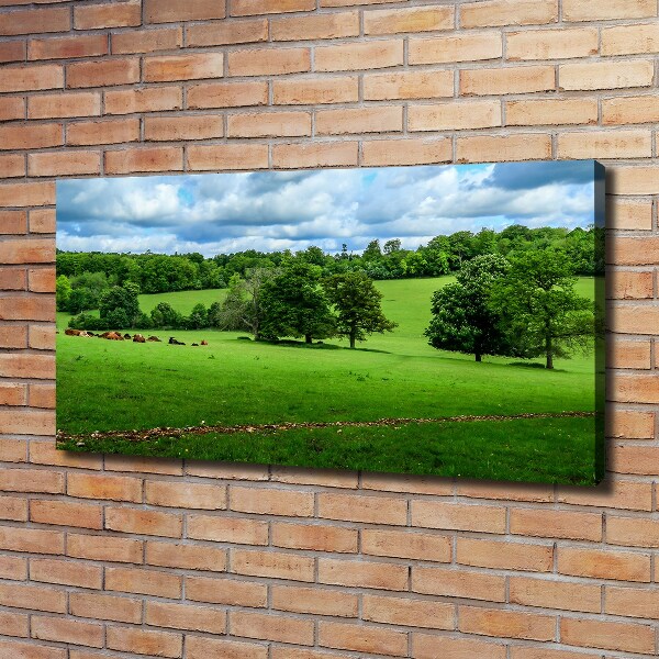 Canvas wall art Green hills