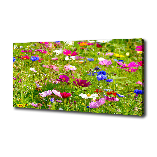 Field flowers