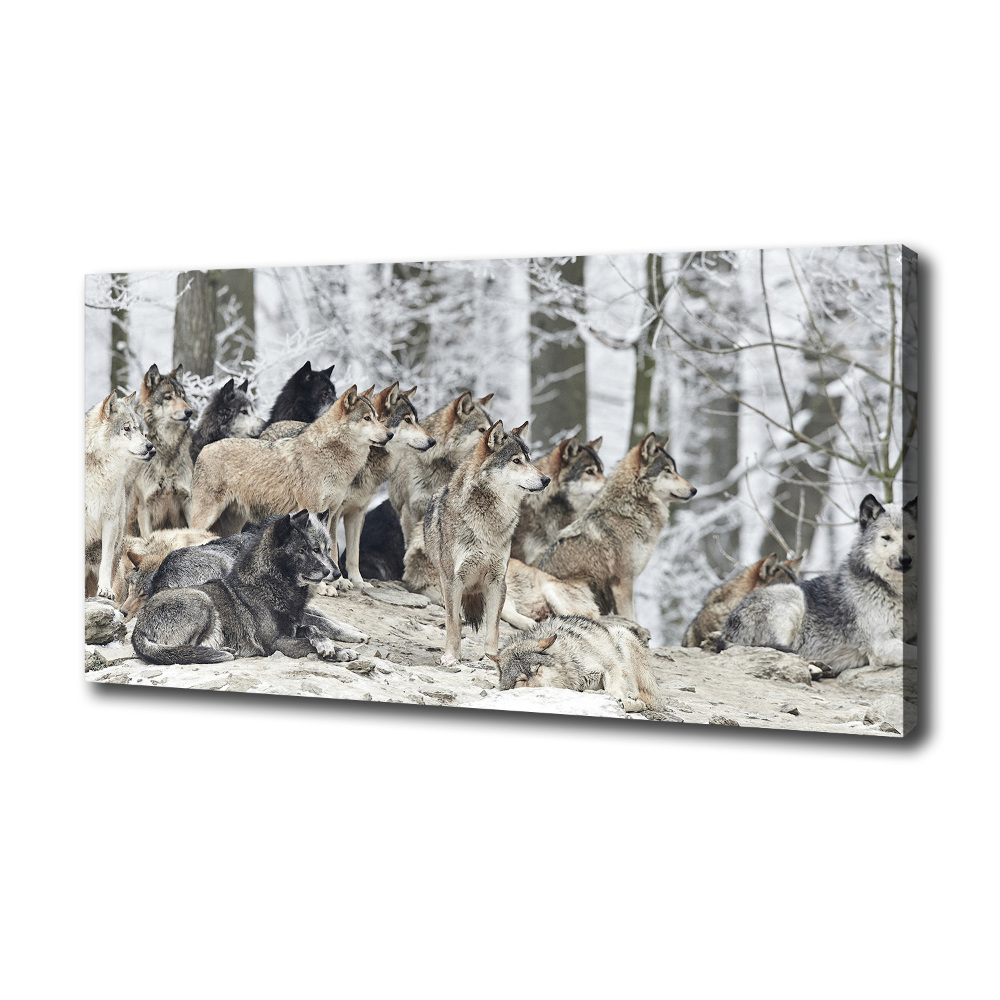 Canvas print Wolves in winter