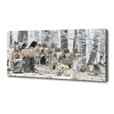 Canvas print Wolves in winter