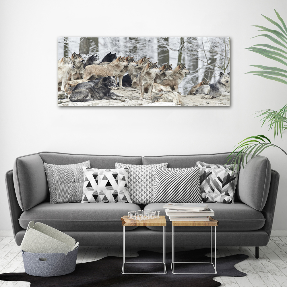 Canvas print Wolves in winter