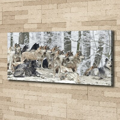 Canvas print Wolves in winter