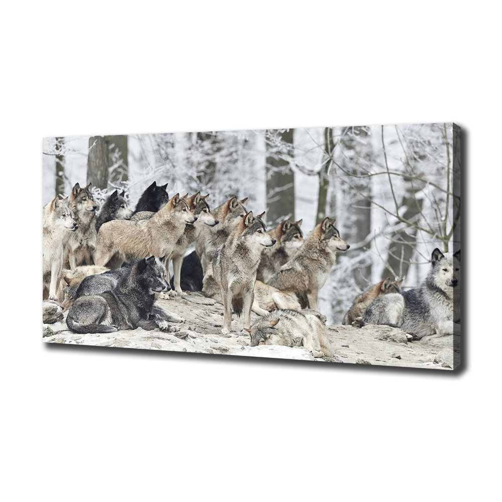 Canvas print Wolves in winter