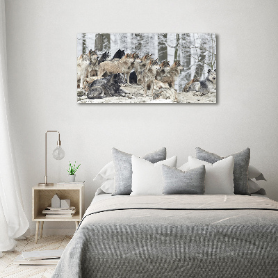 Canvas print Wolves in winter