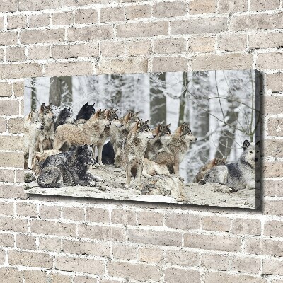 Canvas print Wolves in winter