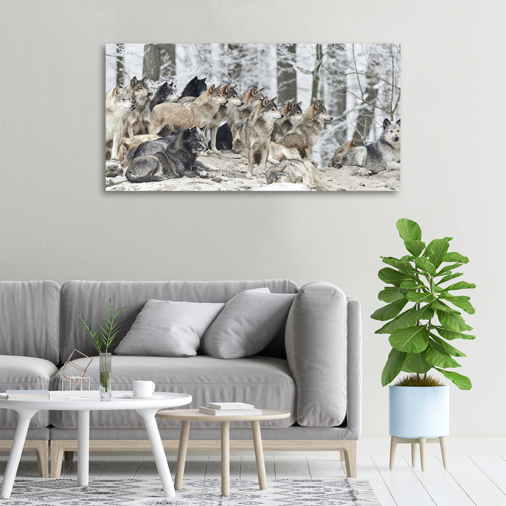 Canvas print Wolves in winter