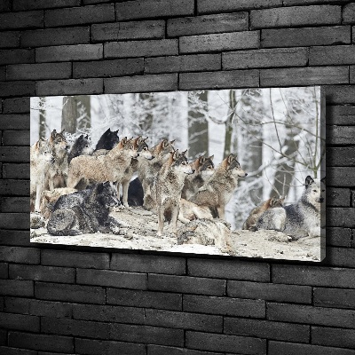 Canvas print Wolves in winter