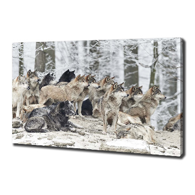 Canvas print Wolves in winter