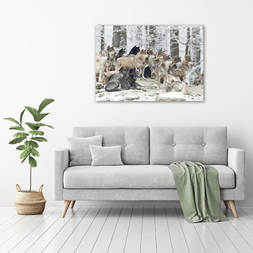 Canvas print Wolves in winter