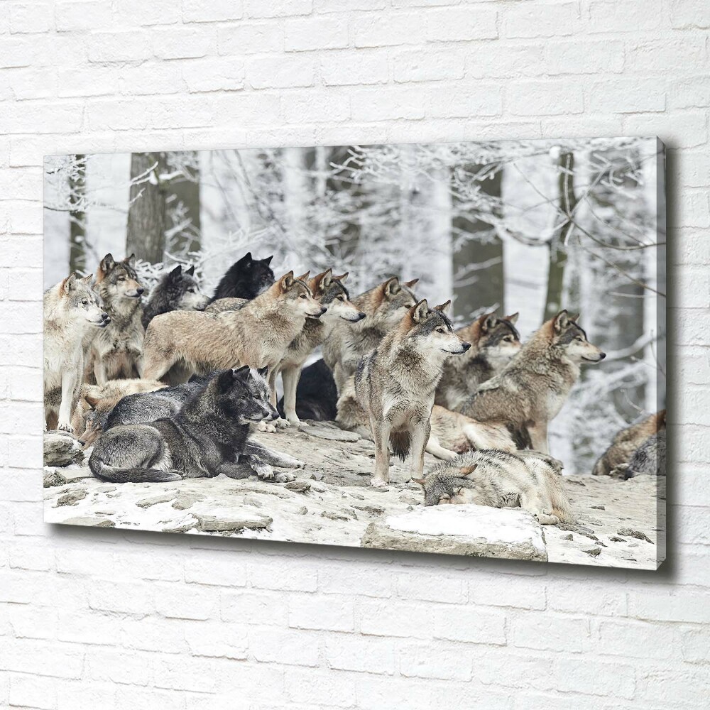 Canvas print Wolves in winter