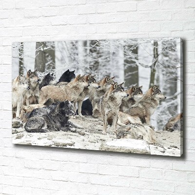 Canvas print Wolves in winter