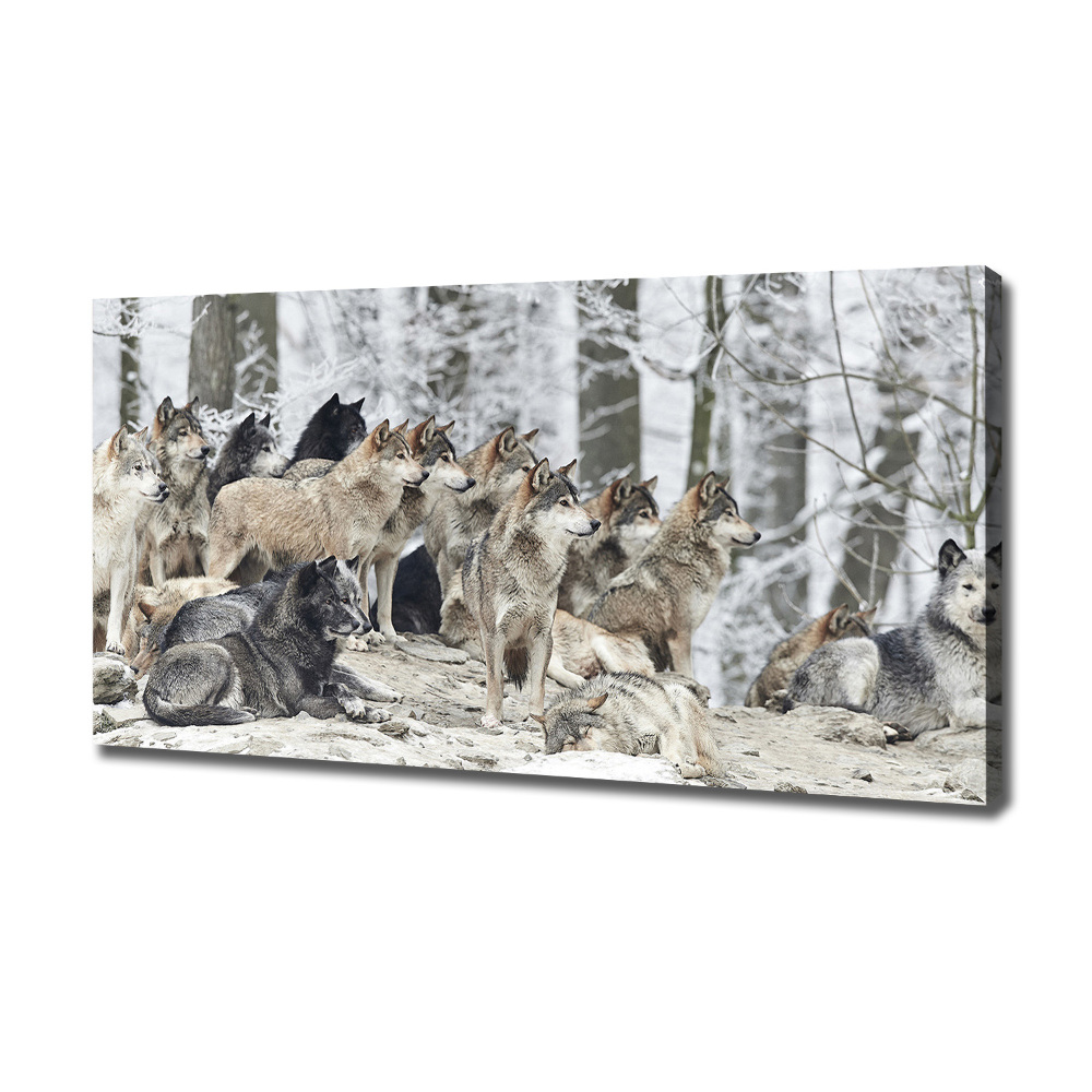 Canvas print Wolves in winter