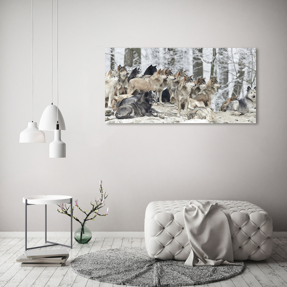 Canvas print Wolves in winter