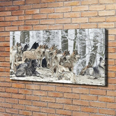 Canvas print Wolves in winter