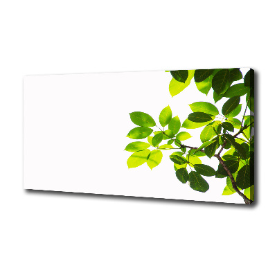 Canvas wall art Leaves