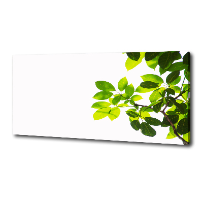 Canvas wall art Leaves