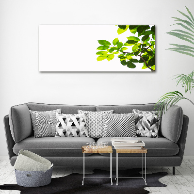 Canvas wall art Leaves