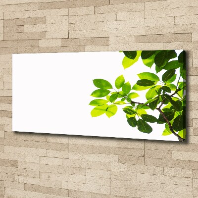 Canvas wall art Leaves