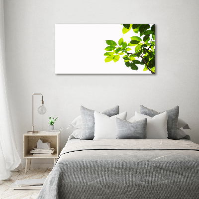 Canvas wall art Leaves